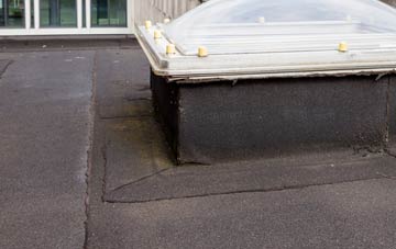 disadvantages of Ettrickbridge flat roofs