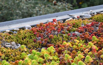 the cost of Ettrickbridge green roof installation