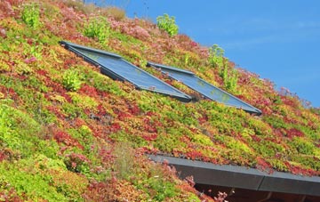Ettrickbridge living roof systems
